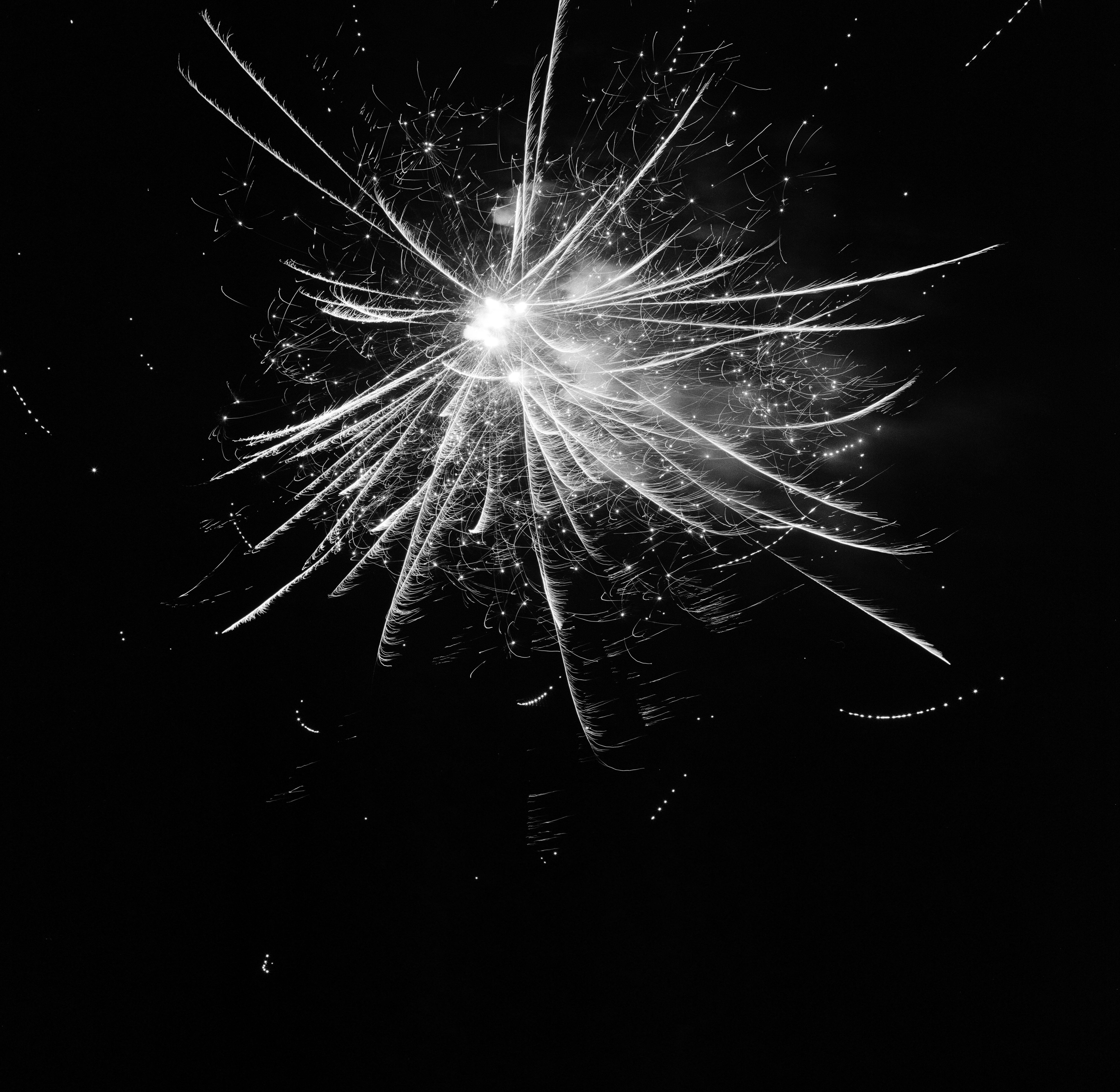 ハナビ (Hanabi), photograph 2