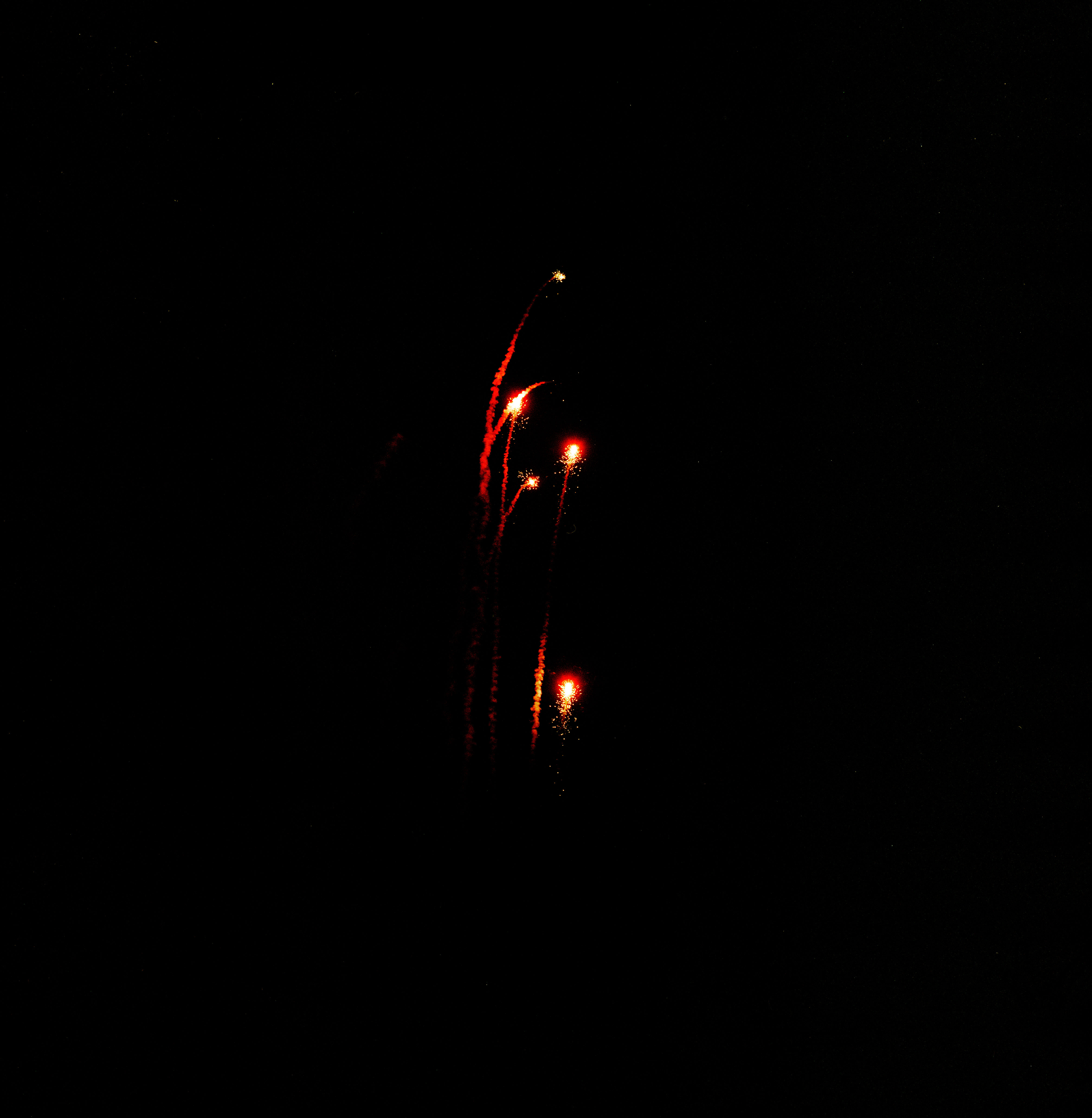 ハナビ (Hanabi), photograph 4