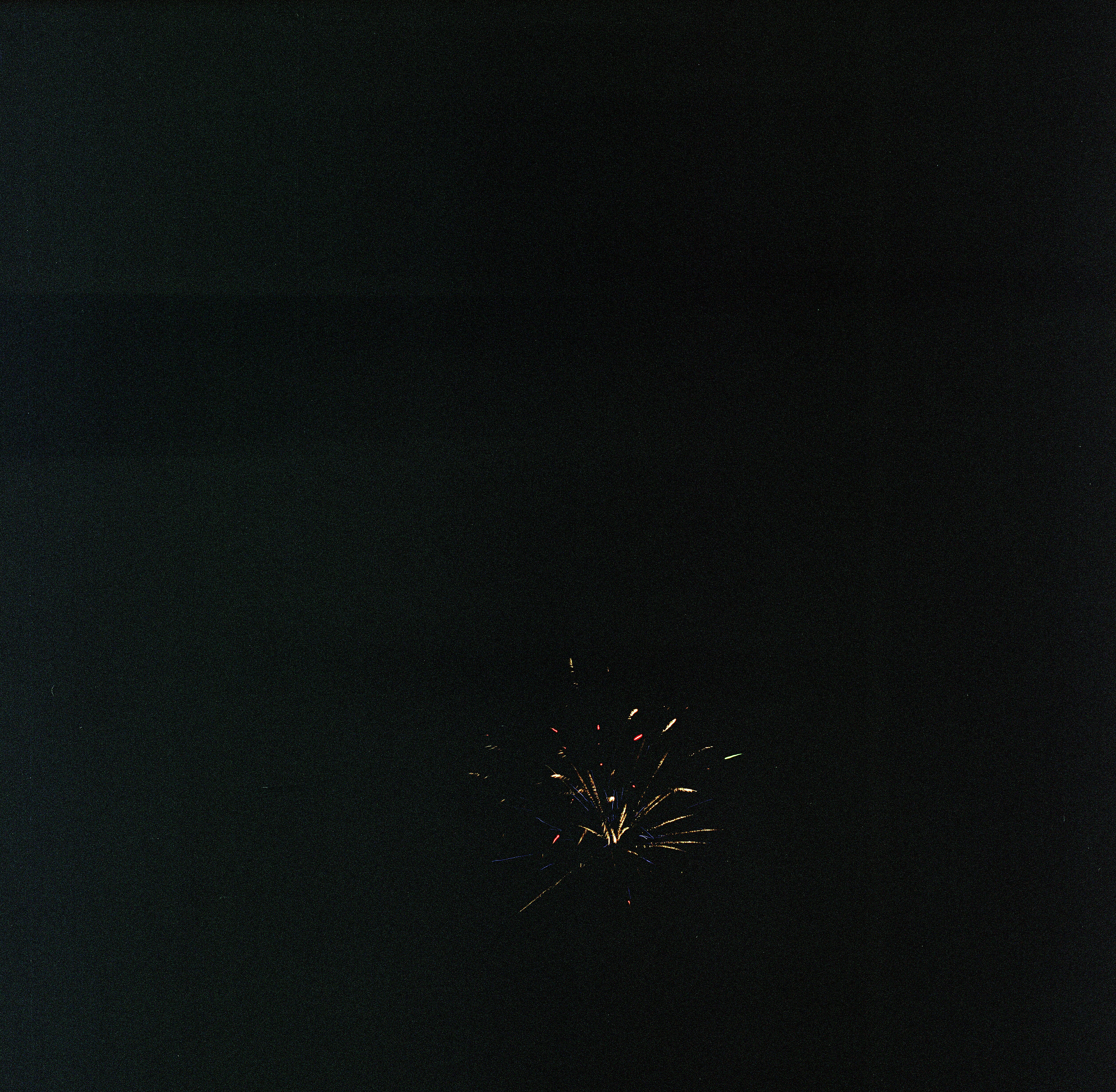 ハナビ (Hanabi), photograph 5