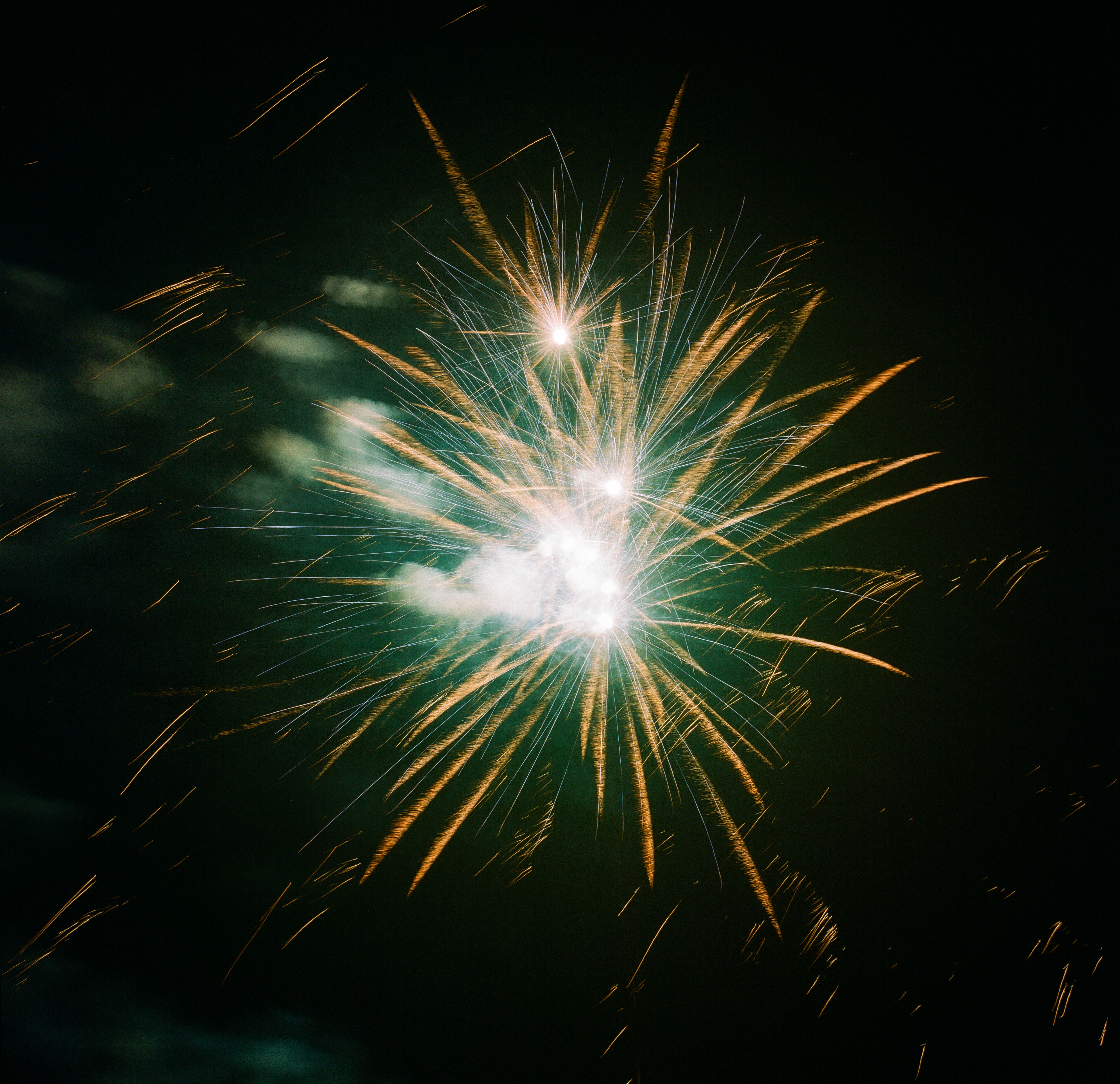 ハナビ (Hanabi), photograph 6